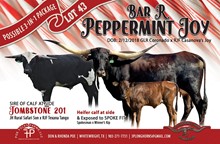 Bar R Peppermint Joy